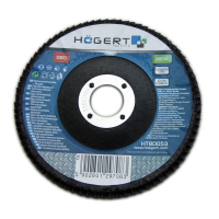 Žiedlapinis šlifavimo diskas G120 / 125x22,4 mm